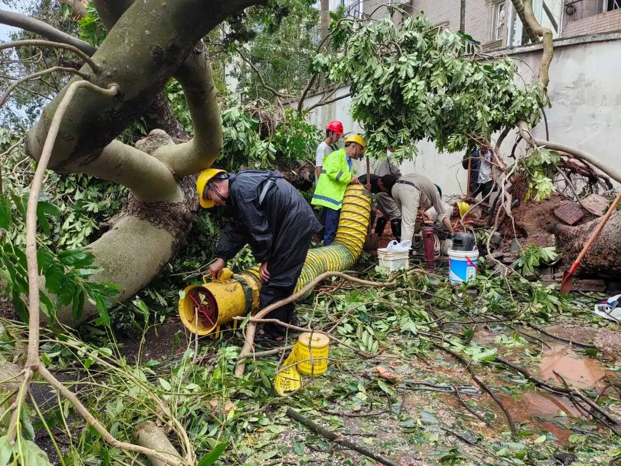 av无码毛片久久喷潮水